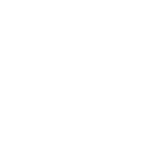 Icon hus